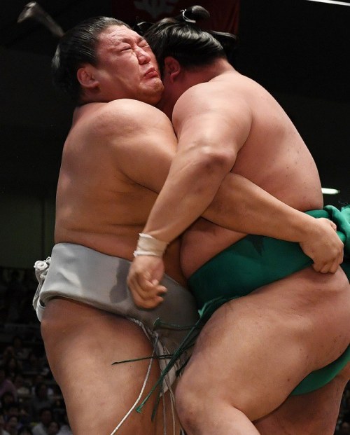 sumobasho: Nagoya 2016 is over. Kise is not a Yokozuna yet, Ama takes the cup! It was a crazy one