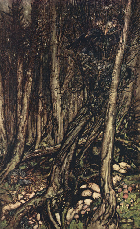 fairytalesandfolksongs:Illustrations by Arthur Rackham from Undine, 1909.