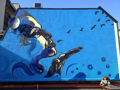 fer1972:  ‘Volare’ Street Art in Oslo by C215