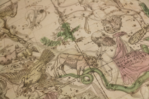 uispeccoll: Astronomy buffs rejoice! This beautiful celestial atlas is a supplementary text to 