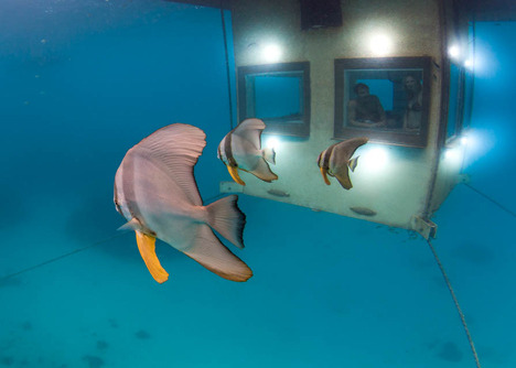 Porn photo chztn: Underwater Room - Manta Resort The