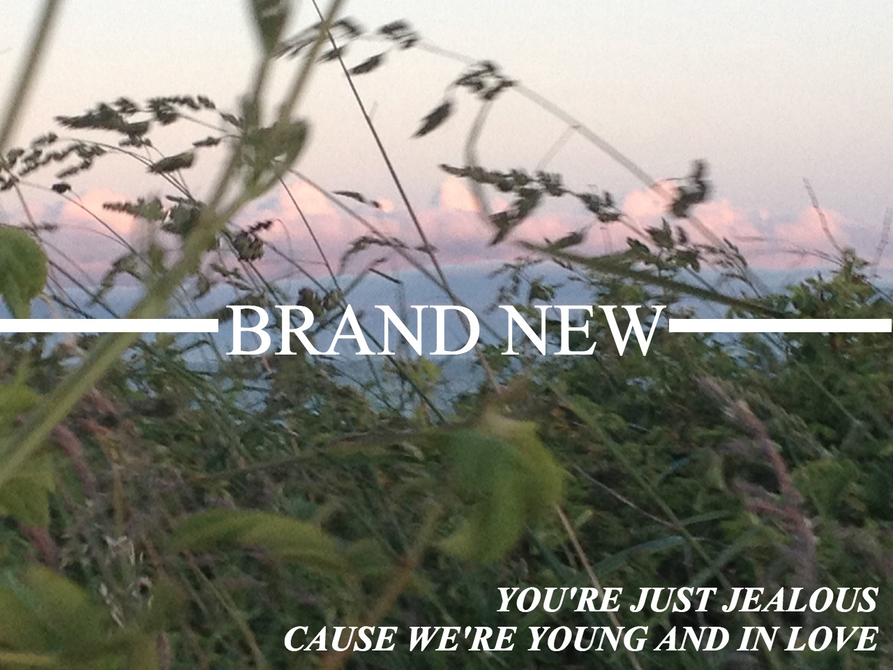 Can you feel my heart?