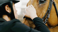 ottbs:“A horse is the projection of peoples’ dreams about themselves - strong, powerful, beautiful -