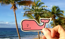 arjewell:  ~whale traveled~