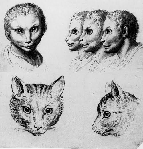 jellyfishjulie: Le Brun’s System on Physiognomy - Charles Le Brun (1670’s)  AK