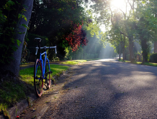 bisikleta: That ride in this morning… (by placid casual)