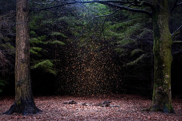 asylum-art:  Ellie Davies lives in London and works in the woods and forests  of