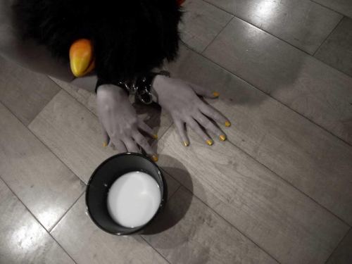 black-quadrant:  Karkat: Drink. (more from the kinkstuck series)photographer/editor
