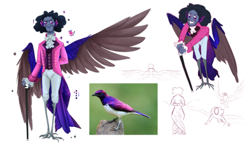 druid-for-hire:harpy thomas for the harpy au!!! he’s a violet-backed starling and he’s a
