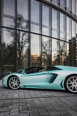 visualechoess:  Lamborghini Aventador Roadster - © Arnoud Wilbrink | ᶹᶥᶳᶸᵃᶩᶳ 