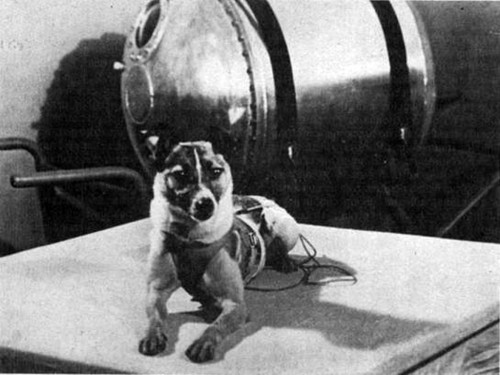 Laika, 1957Sputnik 2