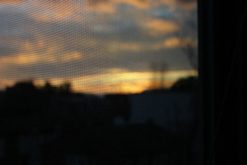 ambushing:Sunset through a screen