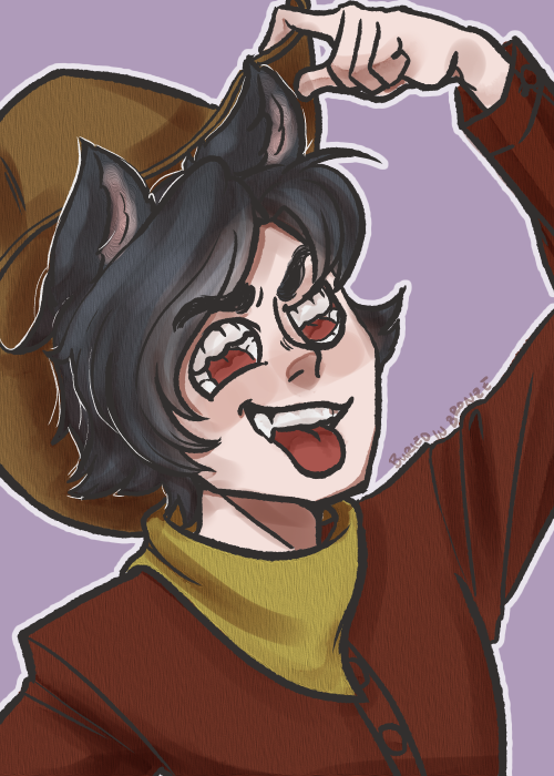 Rav wanted to be a cowboy catboy so I delivered