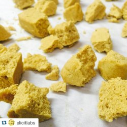 will-mary-marry-me:  #Repost @elicitlabs with some bomb chunks of #wax 🔥🔥🔥🚀🚀🚀#420 #topshelflife #twaxgang #terps #dabs #710 #wfayo #weedstagram420 #woig #fueledbythc #shatter #budder #snapandpull #chronic #vape #jetlife #highlife #highsociety