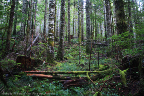 bright-witch: Larch MountainPrint Shop || Instagram