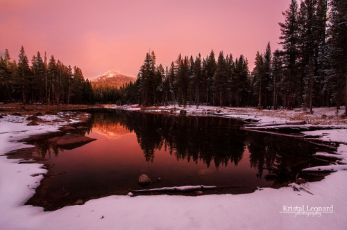 Red Twilight, Yosemite High Country by Kristal Leonard on Flickr.