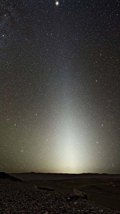 Zodiacal Light This phenomena appears as a faint angular glow protruding from the horizon. However i