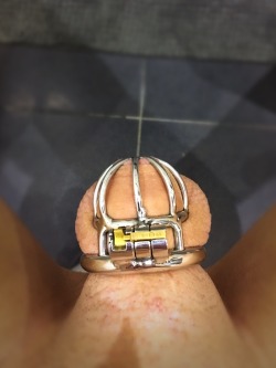 sissybrandyaus:  Hello everyone! I am back! This is my first post back and just wanted to let everyone know that i have permanently sealed the lock on my 1.5&quot; chastity cage with they key broken in, and superglued. If you want to see the video, check