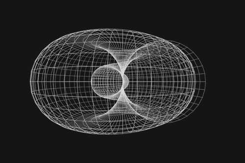 Rotation of a SHELL (wire-frame, perspective projection, full-res)