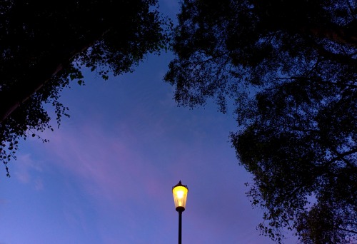 Last Colours Of The Day