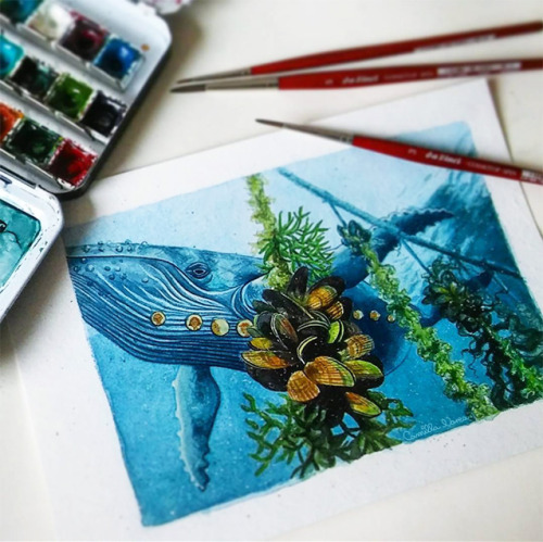 Commission I did back in July. I love painting whales so much! I’m open for commissi