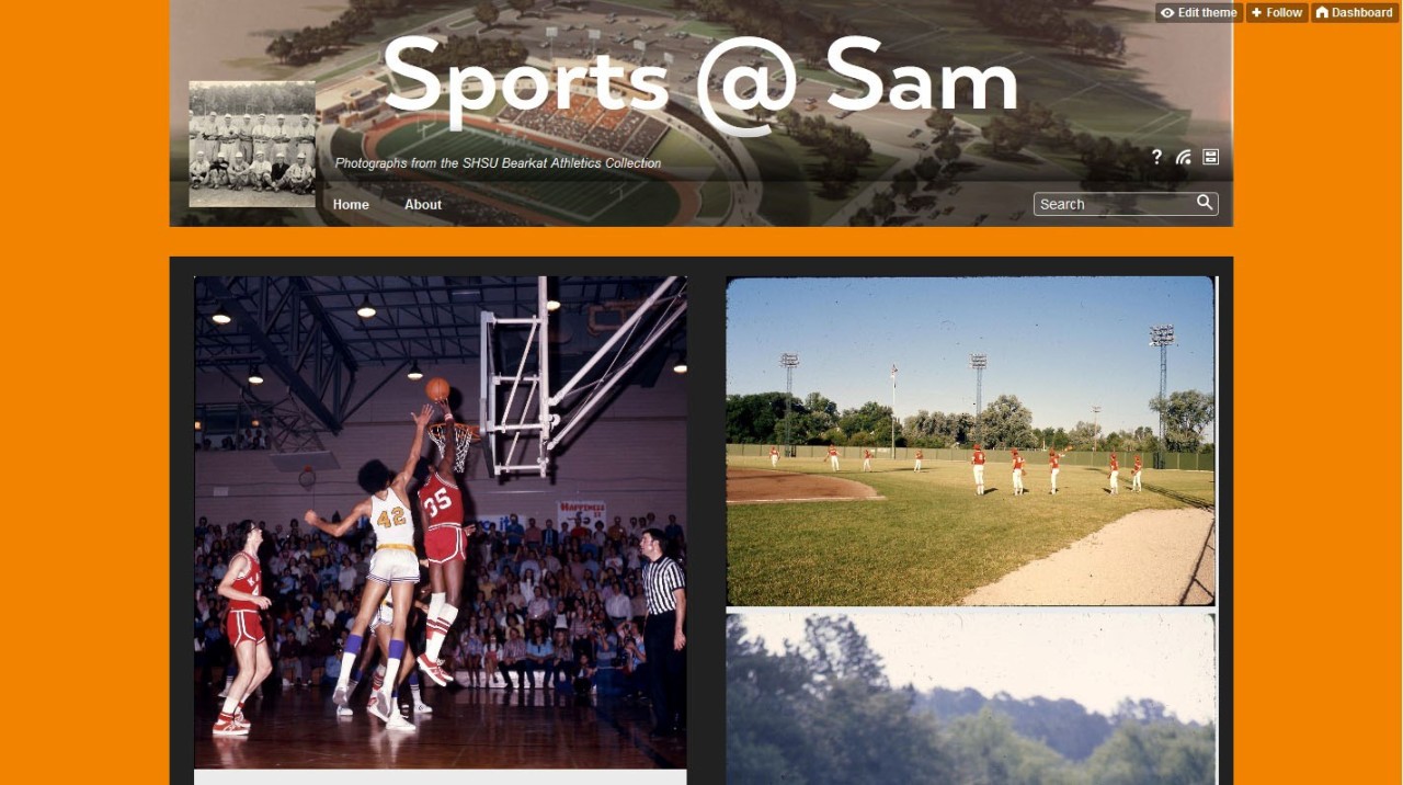 Hey Tumblr followers!
We are proud to announce a new Tumblr webpage created by the SHSU Special Collections and University Archives Departments’ intern Amanda Chang, which spotlights SHSU Sports teams from seasons past. The “Sports @ Sam” Tumblr...