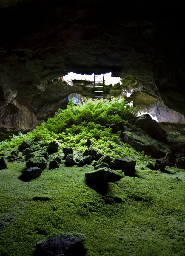 quiet-nymph:  “Fern Cave&ldquo; by van.g  