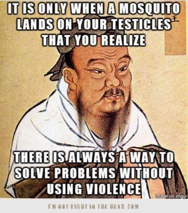 noeasyanswer:  Wisdom