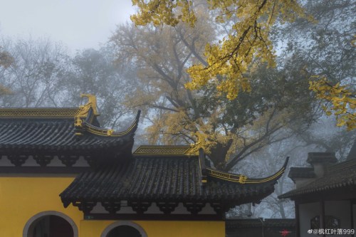 fuckyeahchinesegarden:藏海寺canghai temple, suzhou, jiangsu province by 枫红叶落999