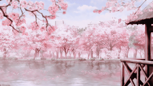 secluded-soul:Look Forwards