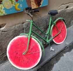 srsfunny:  Watermelon Bicyclehttp://srsfunny.tumblr.com/