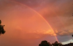 odbytea:  Venus  Double rainbow all the way.