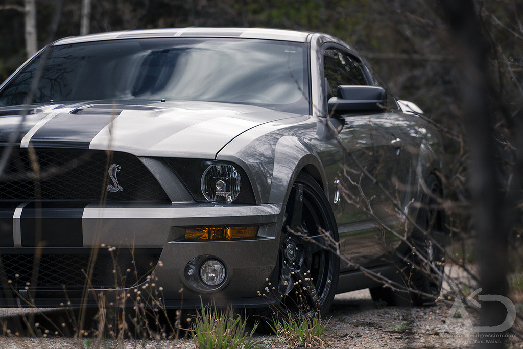 automotivated:  Predator (by Automotive Digression)