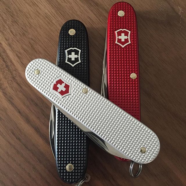 New arrival from SA! A couple of coloured Pioneers and a cheeky everyday carry Bantum! #edc #edc2015 #sak #swissarmy #swissarmyknife #alox #aloxpioneer #victorinox #victorinoxalox http://ift.tt/1MZyWeE