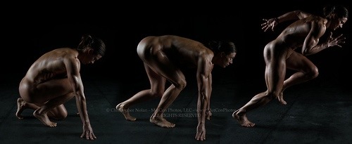 nemoc1:  msvascular:  desertxr:  fightbears-benchdragons:  Danielle Sidel, no intro needed.  Sexy  Yep  Perfect from every angel 