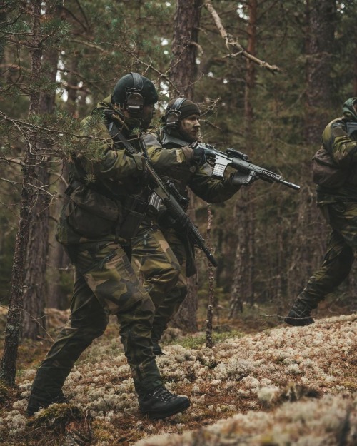 Swedish Air Force security company.