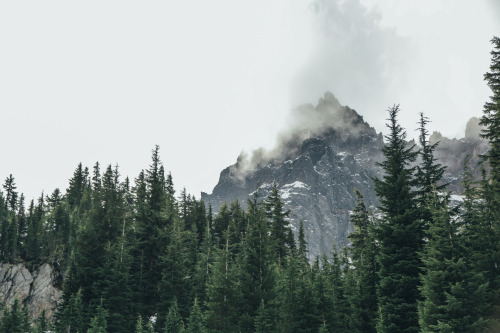 Three-Fingered Jack