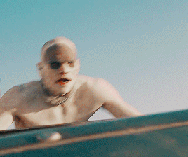prettiestcaptain:a wild lizard in its natural habitat