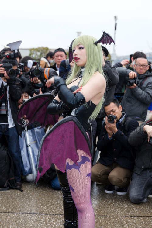 morotan: tsunamayo