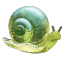 snailspngfanboyarchive