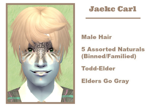 Every time I look at this last male-only hair present, I think my hair model needs freckles to go wi