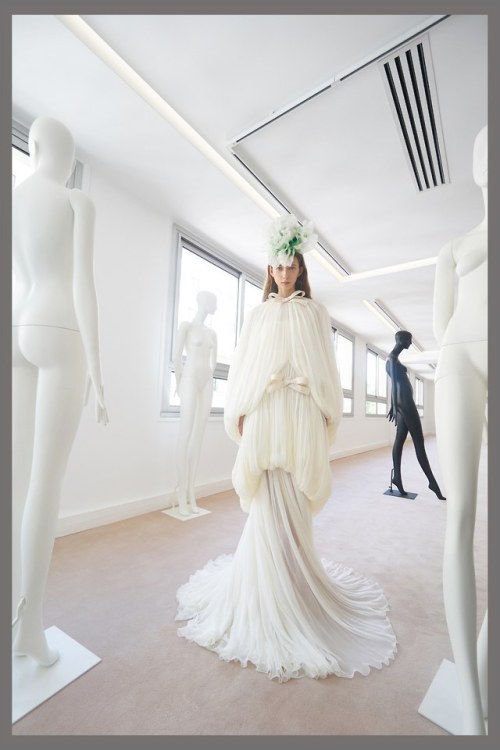 Lookbook - Fall 2019 Couture - Giambattista Valli____Arthur and Puff are everywhere …Facebook