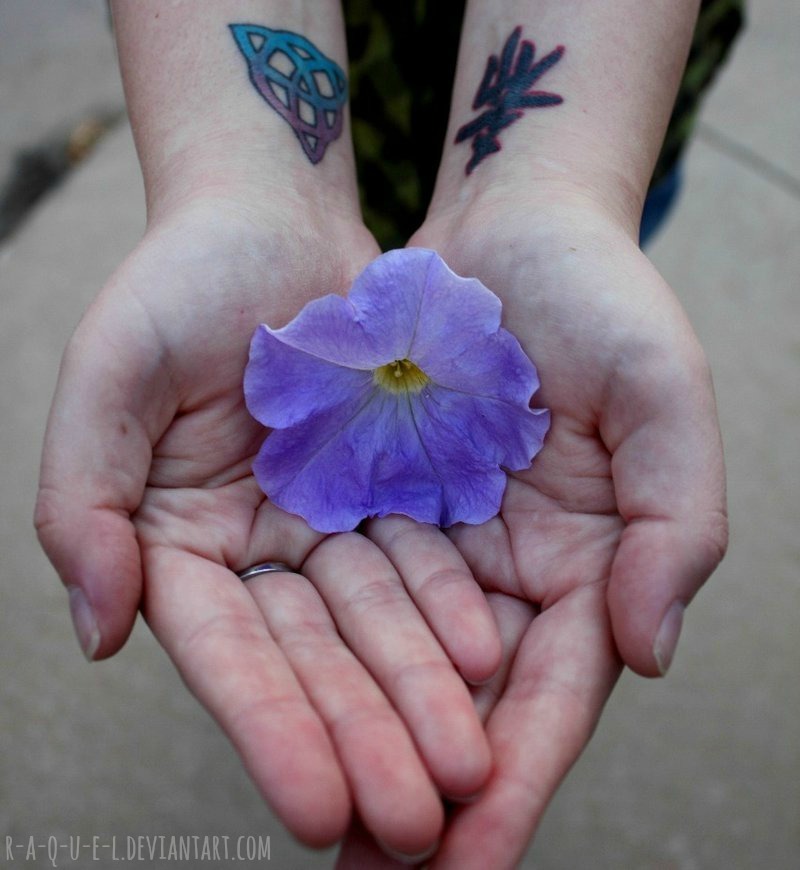 imshadyslady:  Feel free to share or use my photography, just please don’t steal