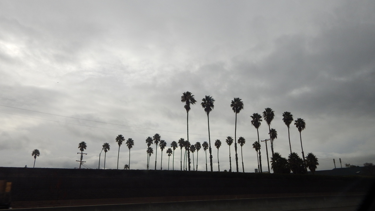 iv-gotsoul-but-im-not-asoldier:palms 