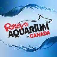 Ripley’s Aquarium which is located in Downtown Toronto, is the largest indoor aquarium in Canada. Th