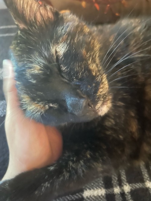 She Drools Because She Has No Front Teeth To Keep Her Blepper In Her Stinky Mouth. Stinky Little Buttocks