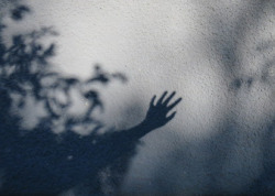 Casting through foliage (the grey and the blue). Ombromanie series. Tanya Rusnak. Sept, 2020