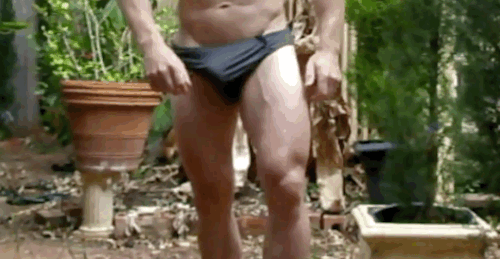 BulgeBoy