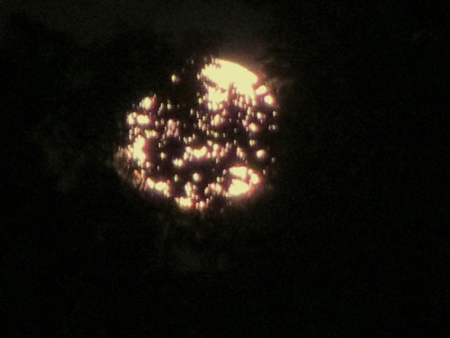 geopsych:I took pictures of the moon through the trees and they came out like this.