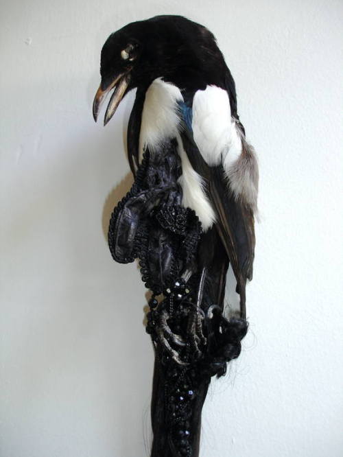 Jane Howarth (British, based London, England) - 1: Magpie series, 2007  2:Magpie series, 2008  1,2: 